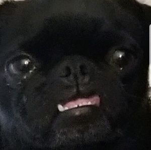 Meet your Posher, Jorge